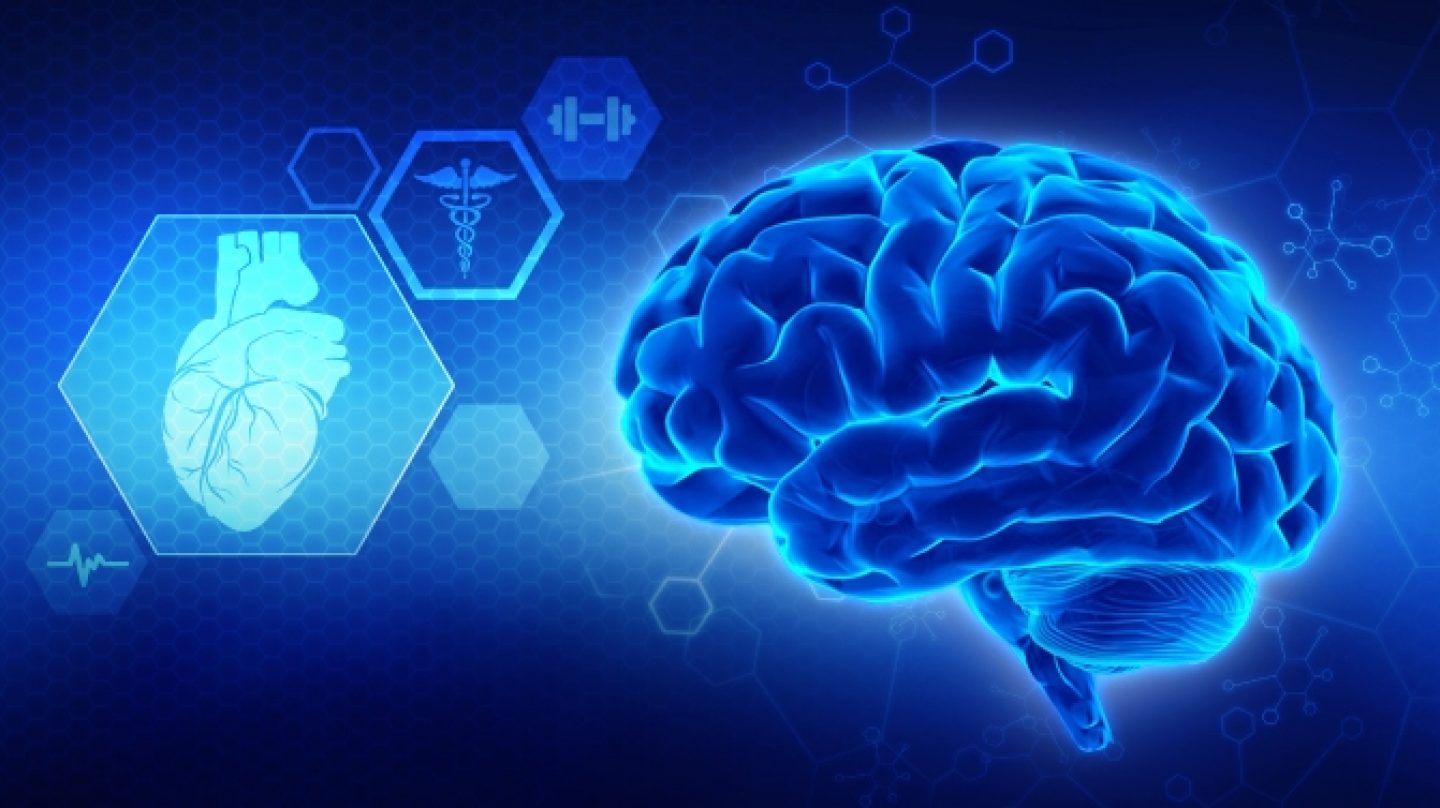 Desintoxicación energética y acceso al discernimiento de la Inteligencia Divina.