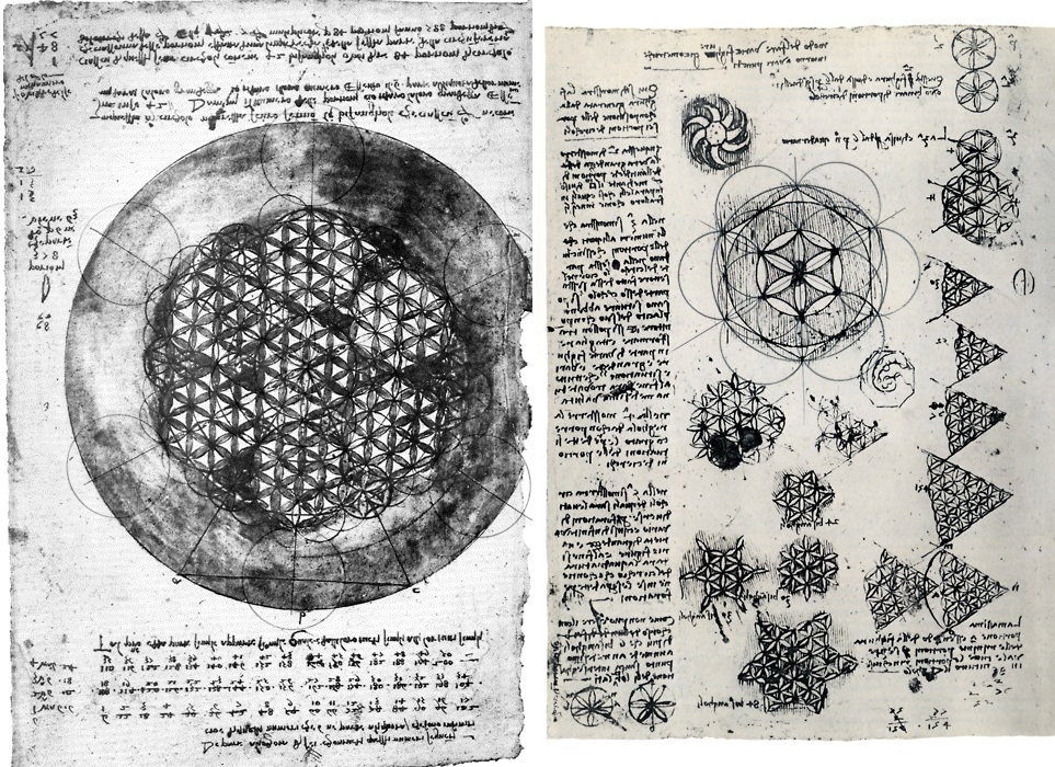 ¿Y si en el ADN estuviera el mapa de la consciencia universal?