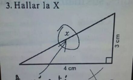 ¿Interpretamos lo que realmente es?