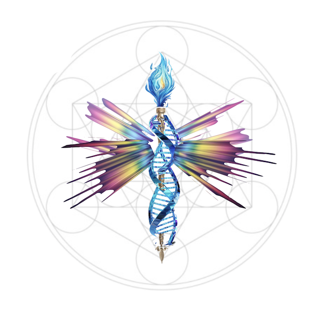 Captura de pantalla 2025-07-07 a las 2.32.36