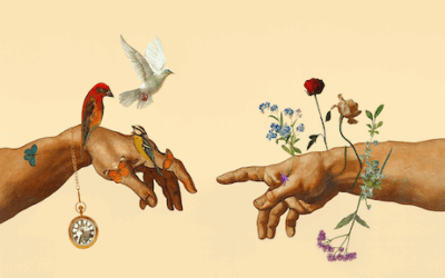 Instinto e intuición